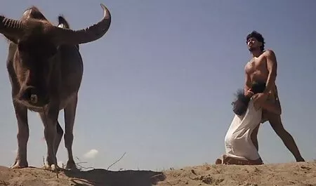 الجنس مع أمي, افلاجنس عربي