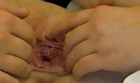 الجنس موقع افلام سكس مترجم عربي الجيد في الصب