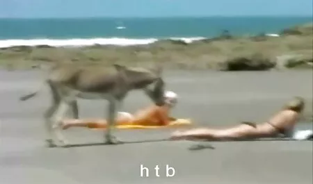 في حزام جنس مترجم عربي وصديقتك, صديق, لها, أسود, واستبدال الطيور أدناه.